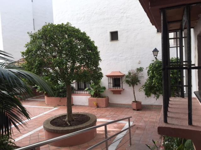 Large And Elegant In Puerto Banus With Pools And Paddle Daire Marbella Dış mekan fotoğraf